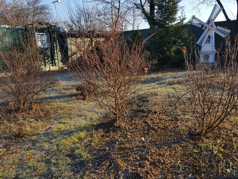  - 12_2020 Ianuarie_Februarie