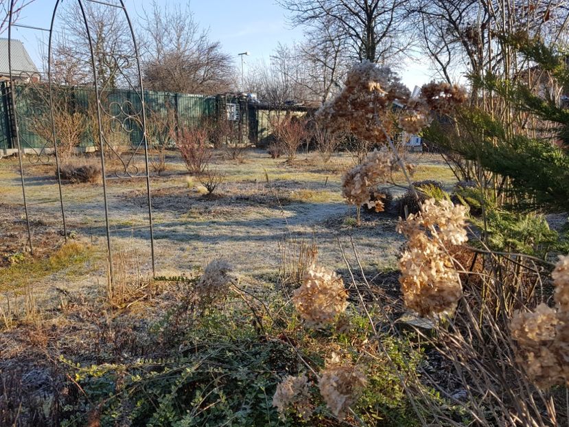  - 12_2020 Ianuarie_Februarie