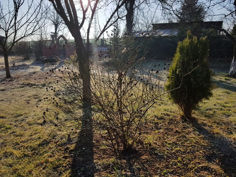  - 12_2020 Ianuarie_Februarie