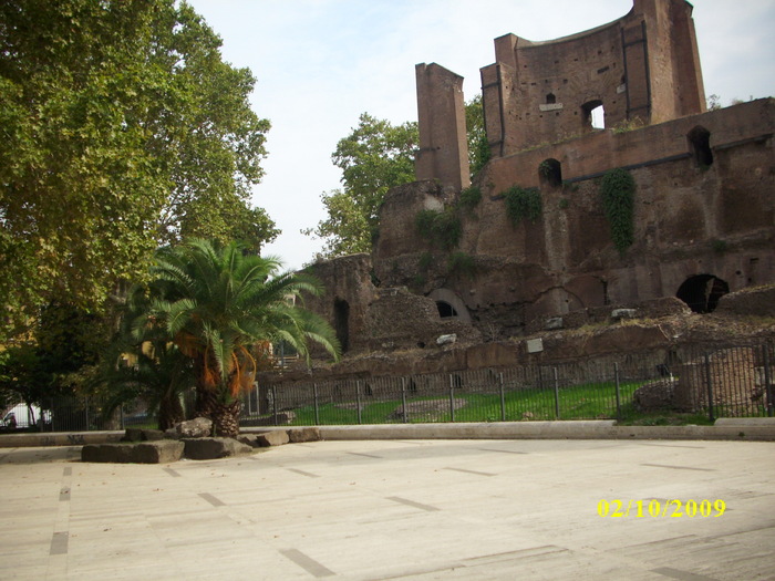 roma 2009 592