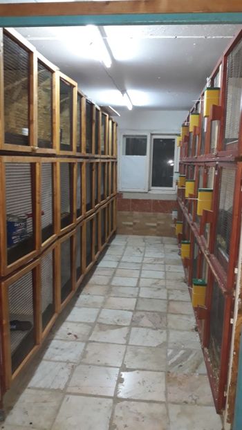  - NOUL ADĂPOST PENTRU IEPURAȘI