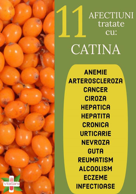 83797972_1507816472715247_3543384616616329216_o - Sfaturi Utile