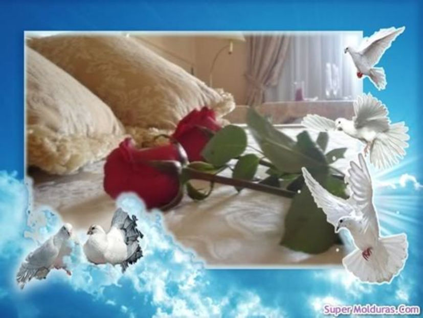 perechea nr. 6 - americani baltati - perechi 2020