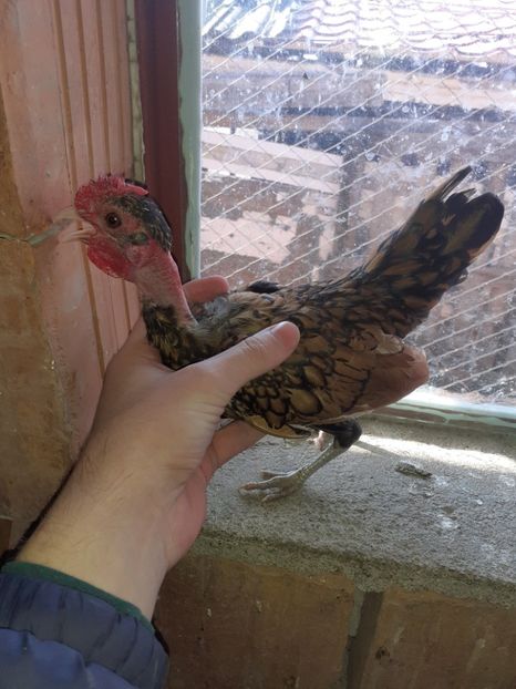  - Oameni cu care am colaborat