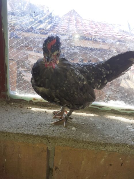  - Oameni cu care am colaborat