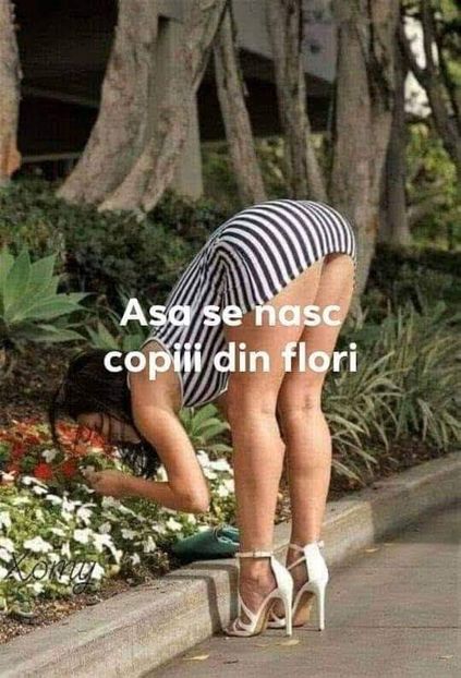 IMG-20191030-WA0001 - Divertisment