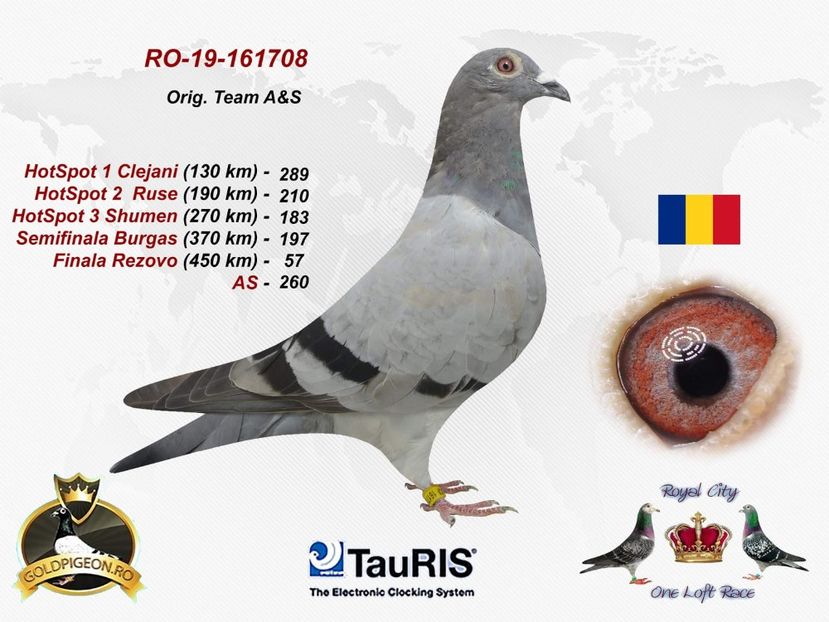 IMG-20191218-WA0016 - Porumbei finalisti pe columbodrom 2019