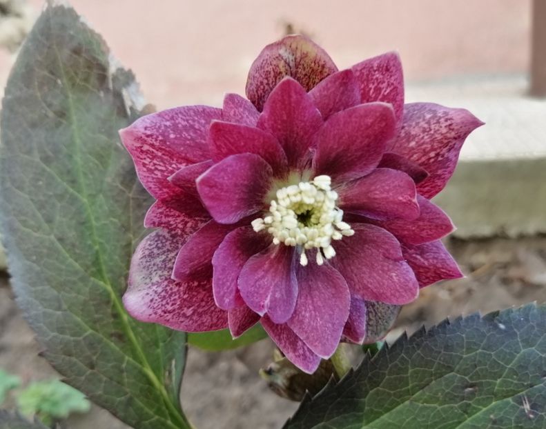 18 feb - 2020 Ian feb martie aprilie