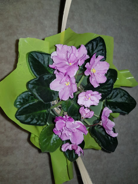 14.05.2019 - RS Modern Waltz