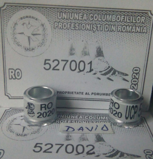  - Inele 2014