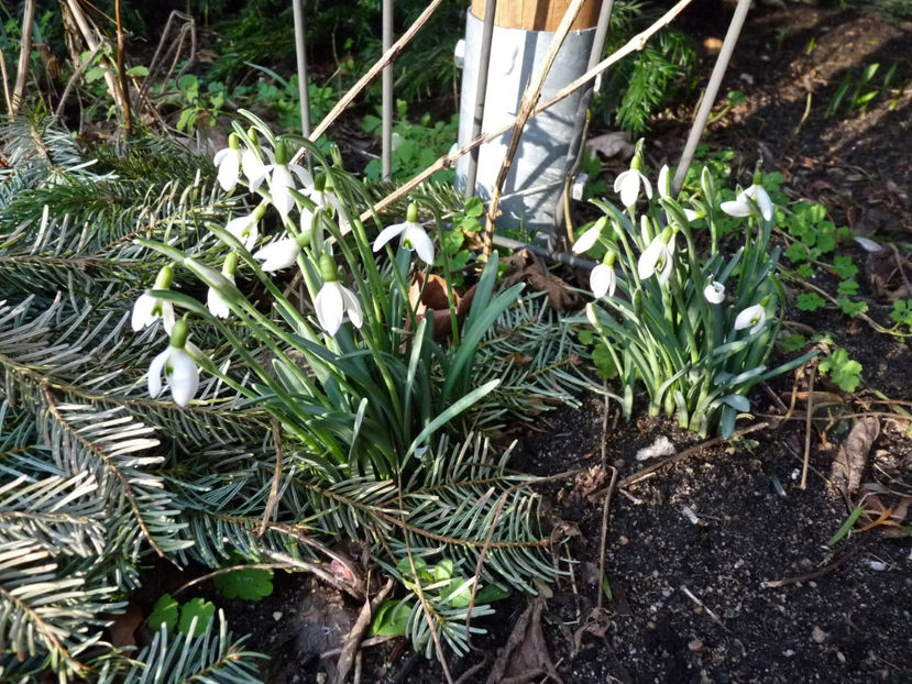  - 2019 - 04 - 2020 - 00 - Iarna