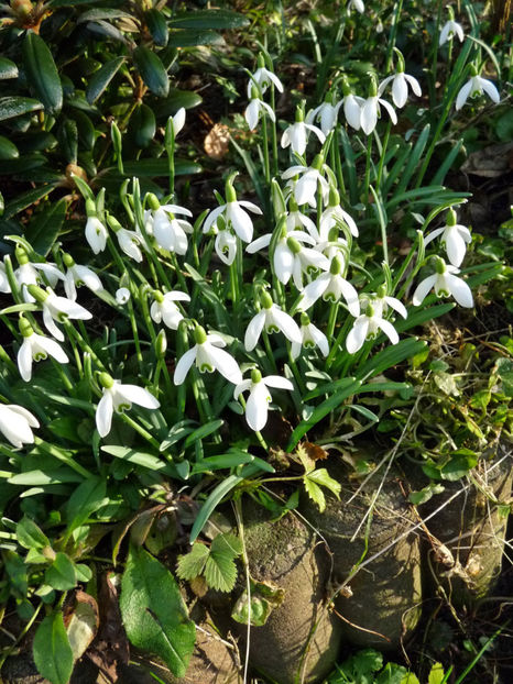  - 2019 - 04 - 2020 - 00 - Iarna