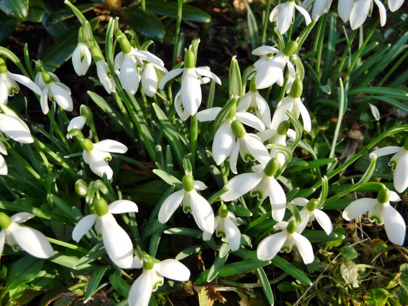  - 2019 - 04 - 2020 - 00 - Iarna