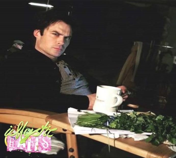 Day 1165 - 19.O2.2O2O ✓ - Sad to see you go