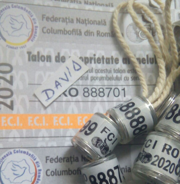  - Inele 2014