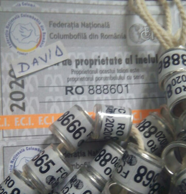  - Inele 2014