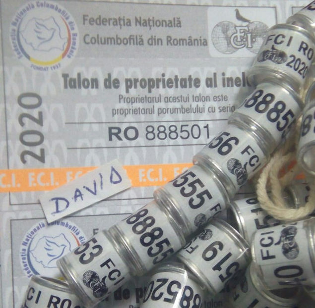  - Inele 2014