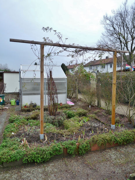 ianuarie - Phlox - brumarele