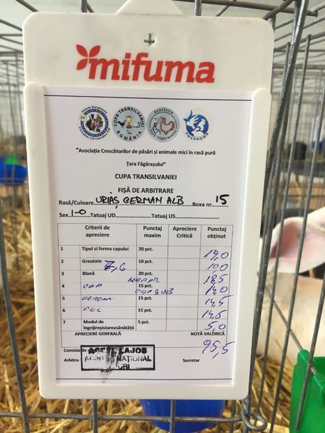 F1459BDA-9E97-4EFD-AD04-FED52E2E52F5 - 0 Rezultate cupa Transilvaniei Brasov 21-23 Febr 2020