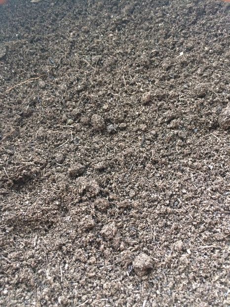 Pământ cernut - 1 Monique