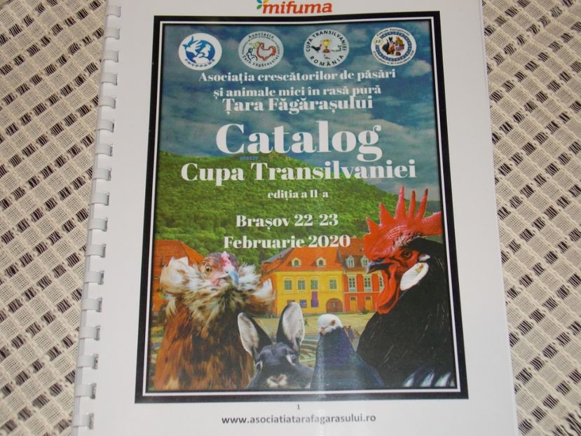  - EXPO-2020-TARA FAGARASULUI BRASOV