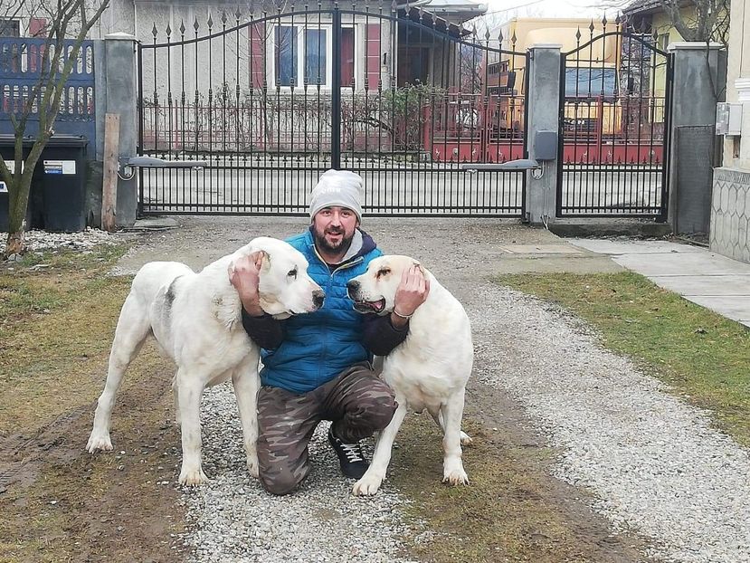 ELSA  & KANTAR - ASIA - CENTRALĂ