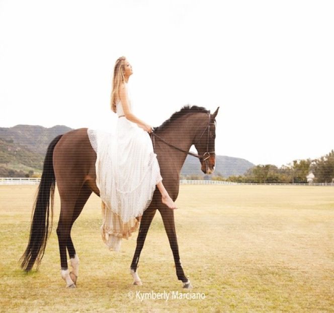 ━ Căruciorul în direcţia dorită, casele de marcat fiind la doar câţiva metri distanţă de locul - 08 Made me let down my guard!