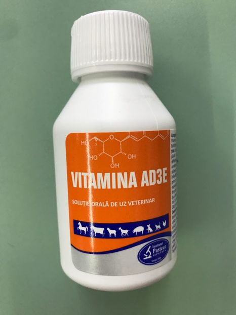 Vitamina AD3E buvabil 100ml - Vitamina AD3E buvabil 100ml 13 lei