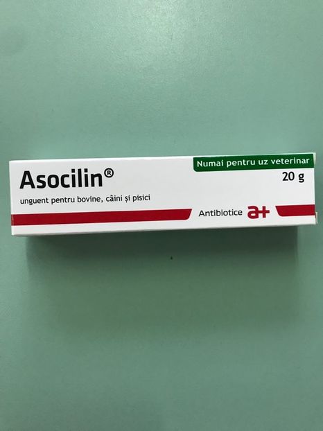 Asocilin 11 lei - Asocilin Unguent De Uz Veterinar 20g - 11 lei