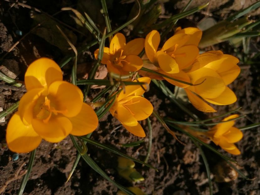  - Ianuarie _februarie 2020-2022