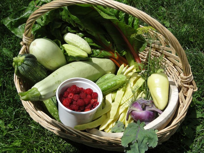  - Sa plantezi o gradina înseamnă sa crezi in ziua de maine!