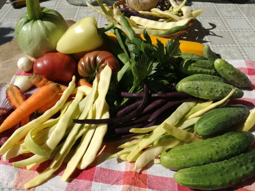  - Sa plantezi o gradina înseamnă sa crezi in ziua de maine!