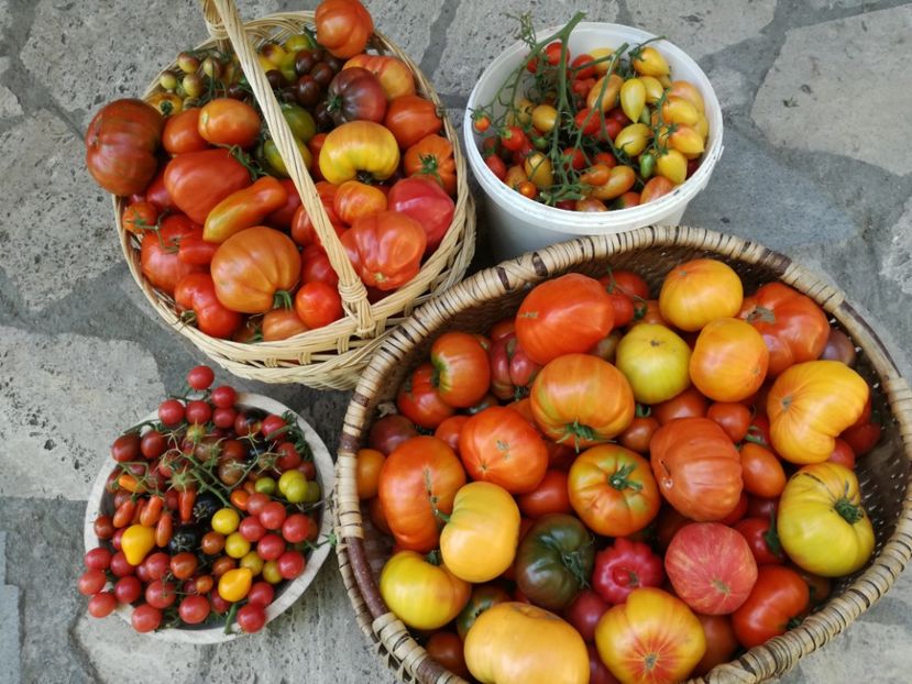  - Sa plantezi o gradina înseamnă sa crezi in ziua de maine!