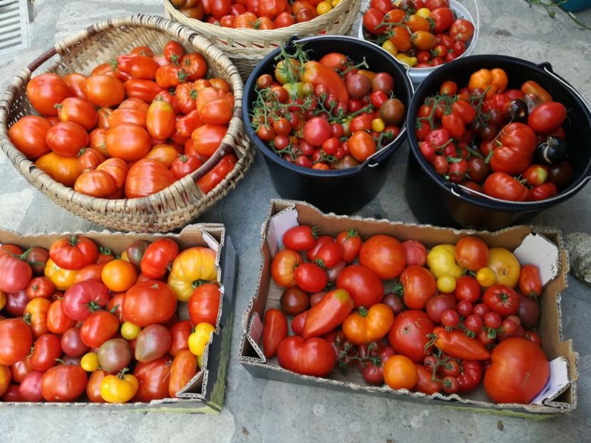  - Sa plantezi o gradina înseamnă sa crezi in ziua de maine!