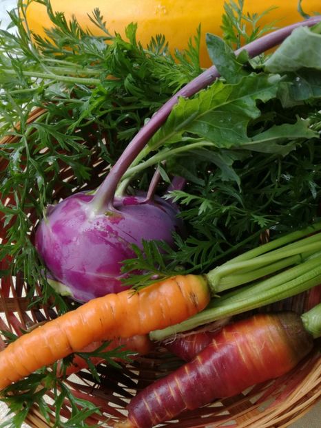  - Sa plantezi o gradina înseamnă sa crezi in ziua de maine!