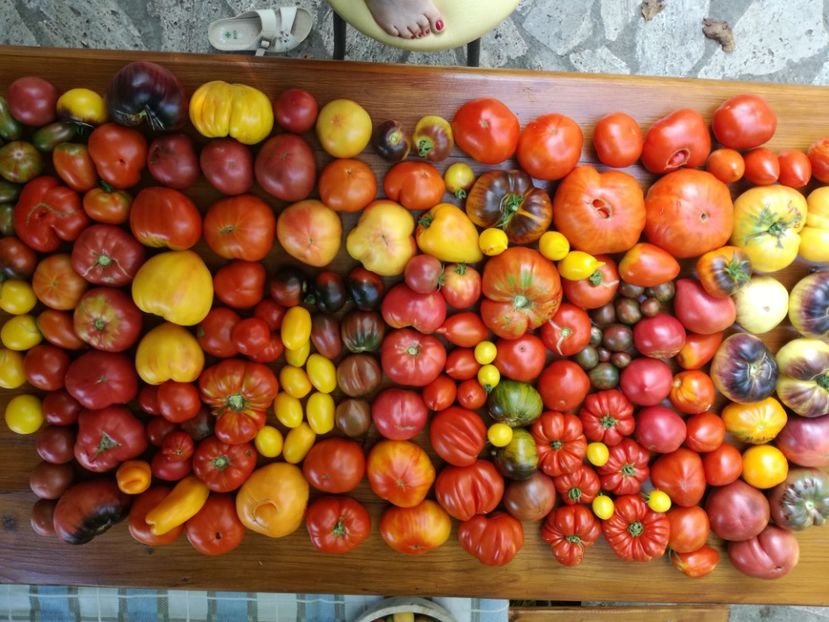  - Sa plantezi o gradina înseamnă sa crezi in ziua de maine!