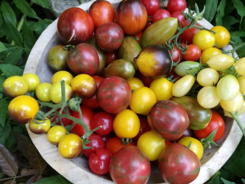  - Sa plantezi o gradina înseamnă sa crezi in ziua de maine!