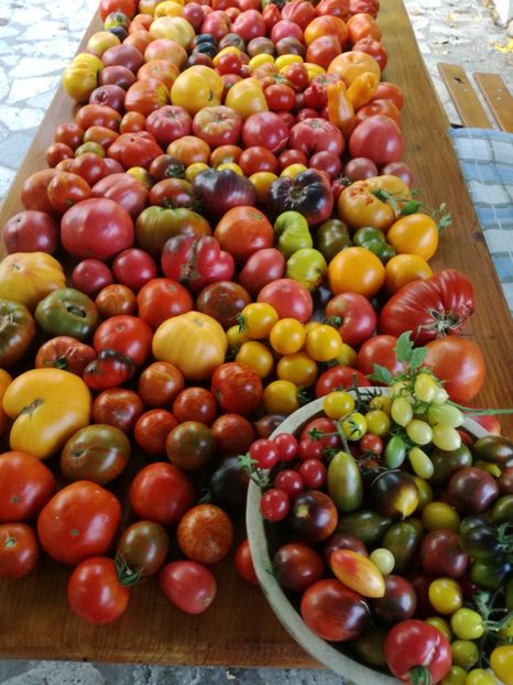  - Sa plantezi o gradina înseamnă sa crezi in ziua de maine!