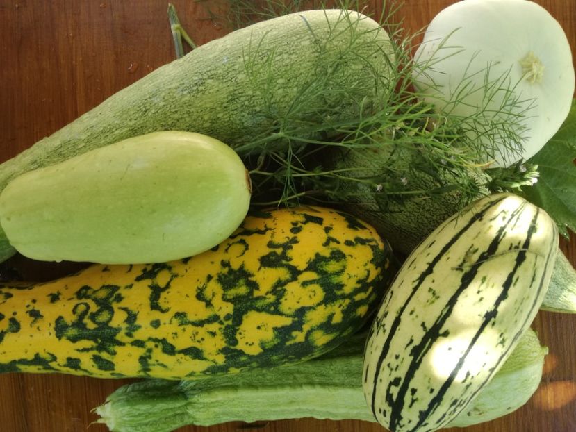  - Sa plantezi o gradina înseamnă sa crezi in ziua de maine!