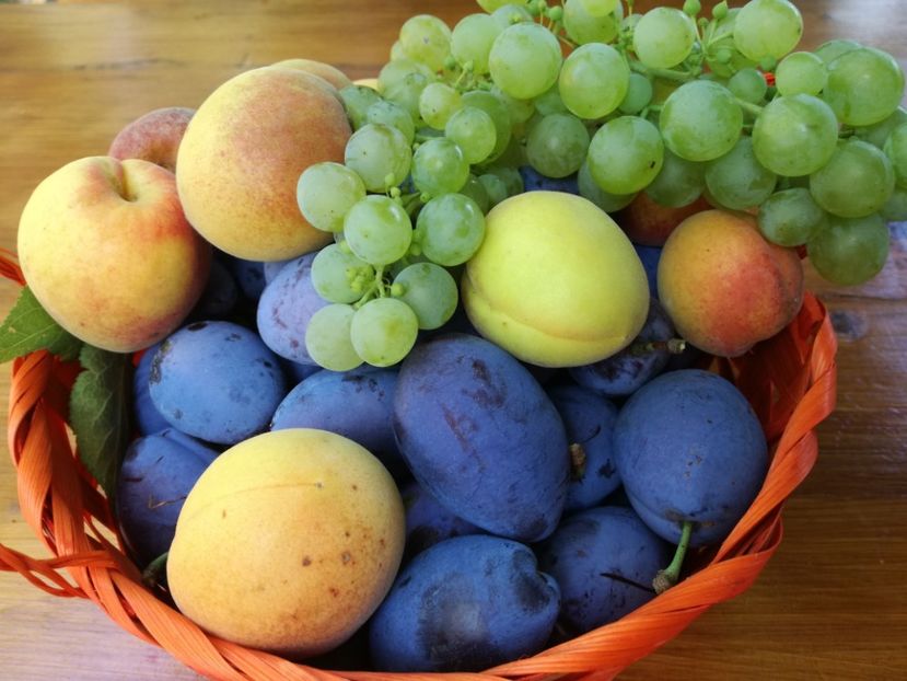  - Sa plantezi o gradina înseamnă sa crezi in ziua de maine!