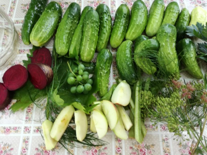  - Sa plantezi o gradina înseamnă sa crezi in ziua de maine!