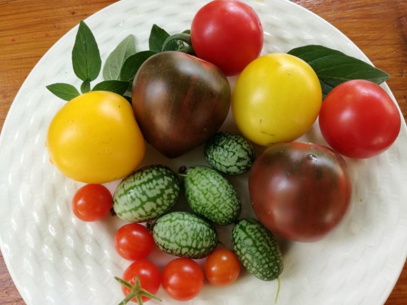  - Sa plantezi o gradina înseamnă sa crezi in ziua de maine!