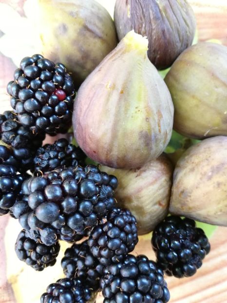  - Sa plantezi o gradina înseamnă sa crezi in ziua de maine!