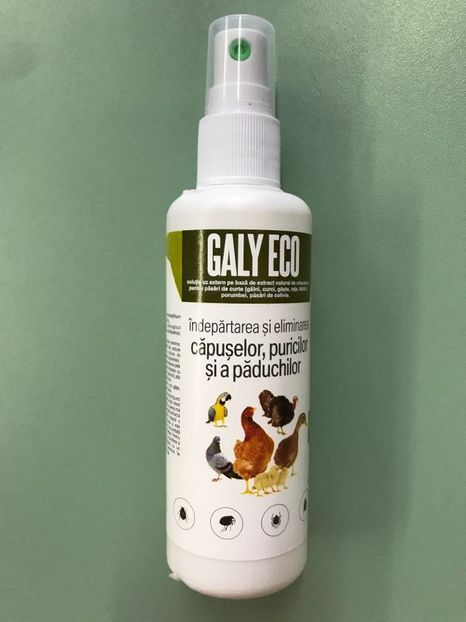 Galy Eco 15 lei - Galy Eco spray antiparazitar - 15 lei