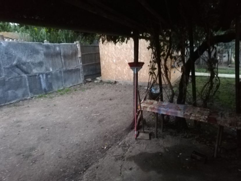  - 2020-Crescatorie Zburatori-Matca