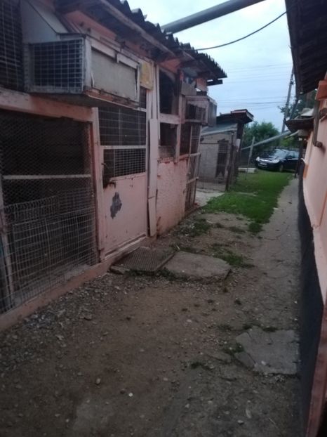  - 2020-Crescatorie Zburatori-Matca