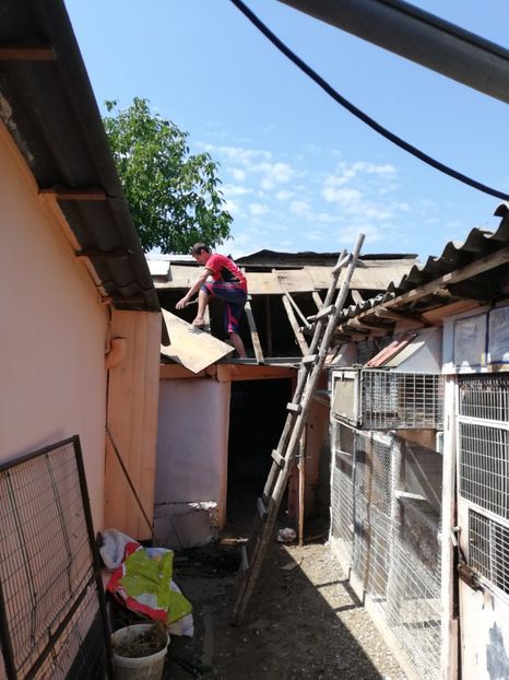  - 2020-Crescatorie Zburatori-Matca