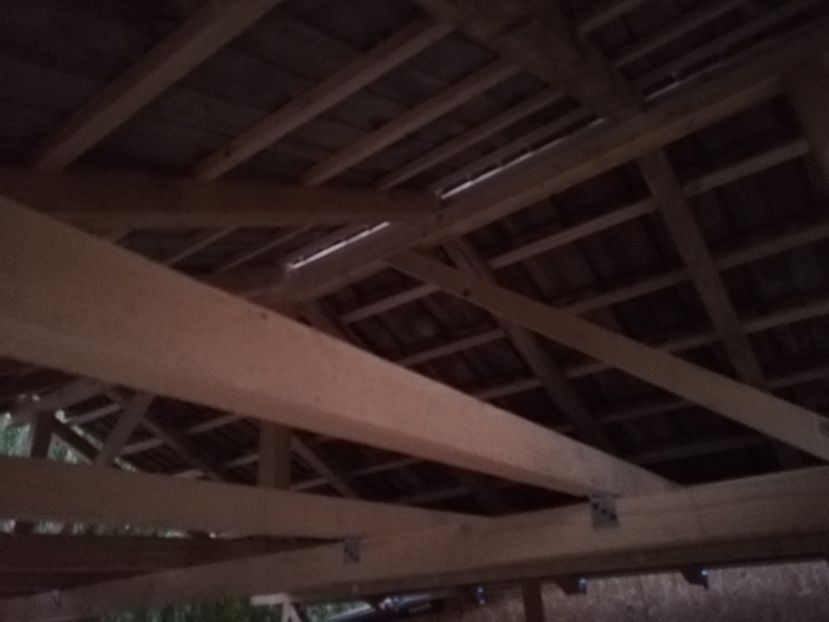  - 2020-Crescatorie Zburatori-Matca