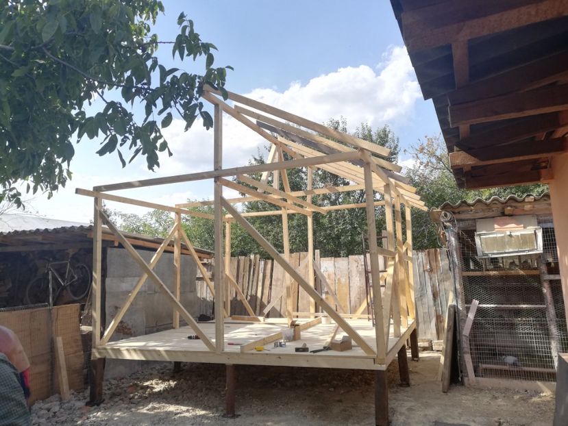  - 2020-Crescatorie Zburatori-Matca