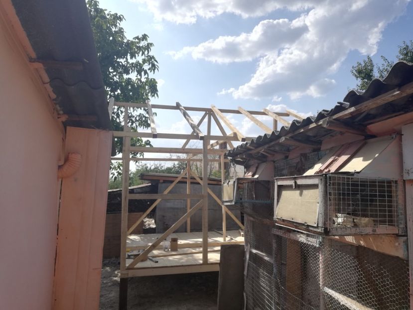  - 2020-Crescatorie Zburatori-Matca